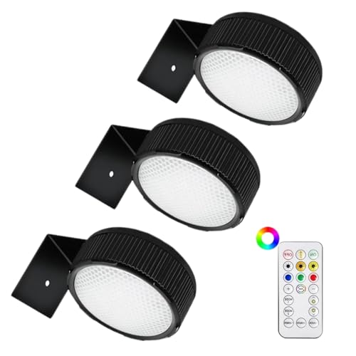 Lámpara de imagen regulable para salón con ajuste de brillo y diseño de cordón a pilas