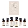Aromaöle 6 Flaschen á 10 ml | bio Sauna Aufguss Ätherische Öle & Duftöl für Aroma Diffuser | 100% Vegan & Naturrein | Naturkosmetik | Etéreo