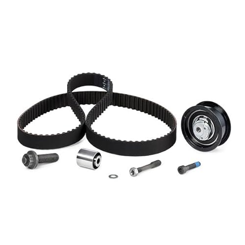 Ina 530008510 Kit Tendicinghia - 2