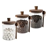 Piscepio Set of 3 Glass Jars Containers with Wooden Lids and Scoop Clear Canister Jars Set with Spoon for Kitchen Food Storage Coffee Tea Sugar Decorative Countertop Organization Jars 31 oz (3)