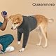 Queenmore Hundebody Nach Op Mit Bein, Ellenbogenbandage Hund Vorderbein, Leckschutz Hund, Genesungsanzug Große Hunde, Haustierwunden Verhindern Lecken, Biss, Und Infektion, Allergien, Grau, M