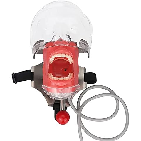 Dental Simulator Mannequin Head- YOUYA DENTAL Typodont Teeth Model Phantom Dexter Head Teeth Model Training Mount Fixed on Dental Chair Bench Training Manikin for Dental Schools Education Practical Cover