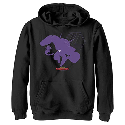 Pull Super Pets DC Comics enfant, le cadeau d'anniversaire idéal