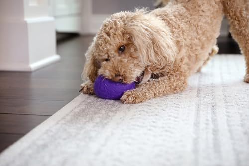 JW Wool-EE Brinquedo de cachorro feito à mão de lã totalmente natural de futebol para buscar