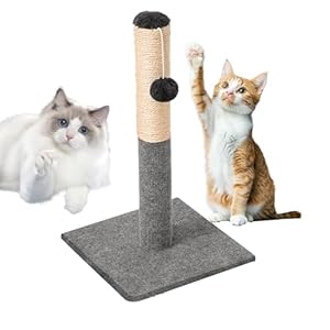 Bexdug Kratzbaum mit Sisal-Seil und Ball