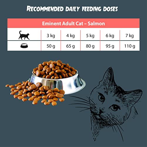 Image of Eminent Cat Adult Salmon Complete Food for Adult Cats - Salmon Flavor with Protein Food for Cats (10 Kg)