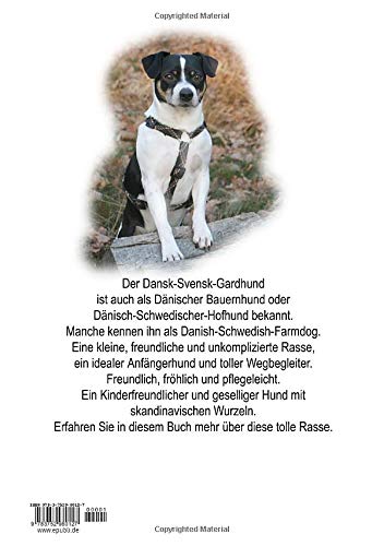 Dansk-Svensk-Gardhund - Dänisch-Schwedischer-Hofhund - Dansk-Svensk-Farmdog - Dänischer Bauernhund: unkomplizierter Wegbegleiter und pflegeleichte Hunderasse