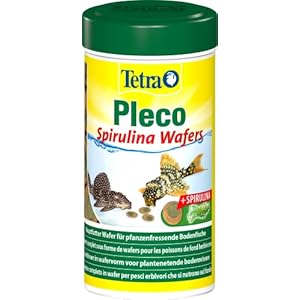 Tetra Pleco Algae Wafers – Fischfutter mit Spirulina-Algen für algenweidende Bodenfische, 250 ml Dose