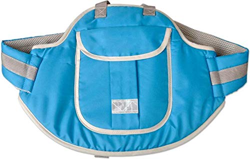 Teeny Weeny Children Motorcycle Safety Harness - Child Ride Strap - Kids Vehicle Adjustable Safety Harness Strap for Two Wheeler Bike Horseback Riding Travel with Padded Strap (Sky Blue)