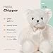 Bearington Chipper, 15 Inch White Teddy Bear Stuffed Animal, Makes a Great Gift for Birthday, Anniversary, Holiday, or Graduation