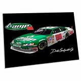 3dRose Dale Earnhardt JR Desk Pad