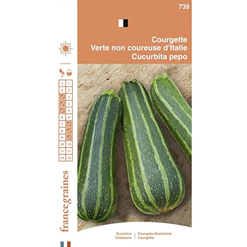 France Graines - Courgette non Coureuse