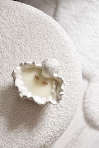 Image of Concrete Sea Shell Jar Candle | Velvet Rose Aroma | 12+Hours Burn Time | Perfect for Home Decor & Gifting (G)