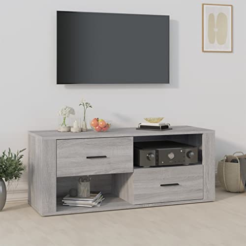 FIRBNUS Mueble de TV 100x35x40 cm Mueble TV Salon Mueble TV con Cajones Mueble Salon Moderno Mueble TV Madera Muebles De Salon Mueble Television Madera contrachapada Gris Sonoma Compartimentos