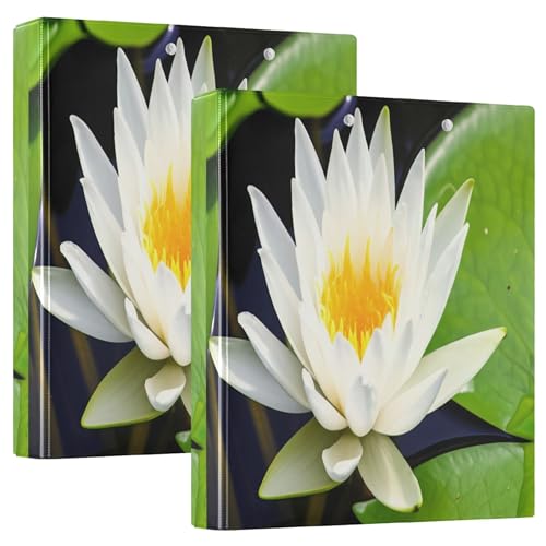 zCgEH[^[[t[O[[t 3OoC_[ 1 1/2C` 200[ 킢tH_[ |[gtHI EhO ItBXoC_[ 12.4x10.6x2.37C` 1pbN