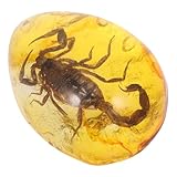 INOOMP