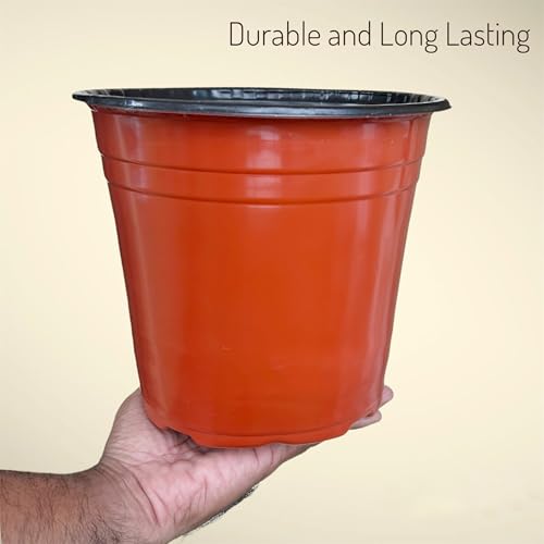 Image of Sapling's World Thermoformed Plastic Pots | 8 Inch Size | Terracotta Colour | Unbreakable |Multiple Holes for Better Drainage |Best for Indoor & Outdoor Plants (Pack of 24)