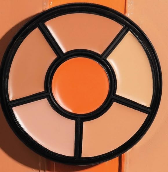 INSIGHT Cosmetics Pro Concealer Palette Fair 15 g (Pack of 1)