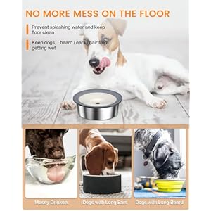 No-Spill-Dog-Water-Bowl-15L-Stainless-Steel-Slow-Drinking-Water-Dish-Dispenser-Fits-into-Elevated-Pet-Feeder-Spilling-Drip-Splash-Proof-Slobber-Stopper-for-Dogs-Cats-Messy-Drinkers - Cucciolini Doodles   No-Spill-Dog-Water-Bowl-15L-Stainless-Steel-Slow-Drinking-Water-Dish-Dispenser-Fits-into-Elevated-Pet-Feeder-Spilling-Drip-Splash-Proof-Slobber-Stopper-for-Dogs-Cats-Messy-Drinkers
