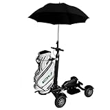 AESWGOF 2400W Electric Golf Cart with Seat & Umbrella, Foldable, Dual Motor, 48V 20Ah Battery – Compact, Stylish, Effortless Mobility for Golf Courses (Black)