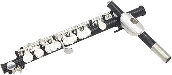 Silver Plated C Piccolo Improves Performance for Musicians PU Leather Box Cleaning Tool Set Musicians (Black),Flute, Xiao