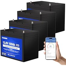 DC HOUSE 12V 100AH 4Pack Lithium Battery, 5.12 KWH LiFeO4 Battery 100A BMS, Bluetooth & Low Temp Cut-Off, Up to 15000 Lithium Deep Cycle, Perfect for RV, Trolling Motor