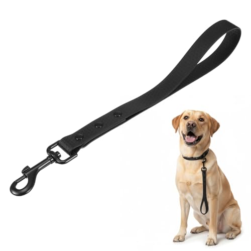 LIQWEI V[gU[p[h 1 hp[h ug[jO wr[f[eB[nh gtBbN[V ^^̃g[jOp