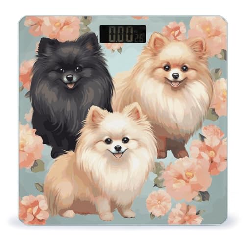 Báscula Digital De Baño Con Diseño De Pomeranianos miniatura 1