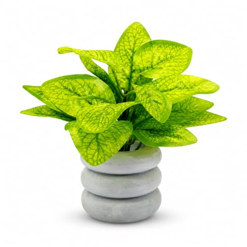 15 Artificial Plant Decorating Ideas 31 SHASHYA Croton Petra Artificial Fittonia Plant with Decorative Pe...