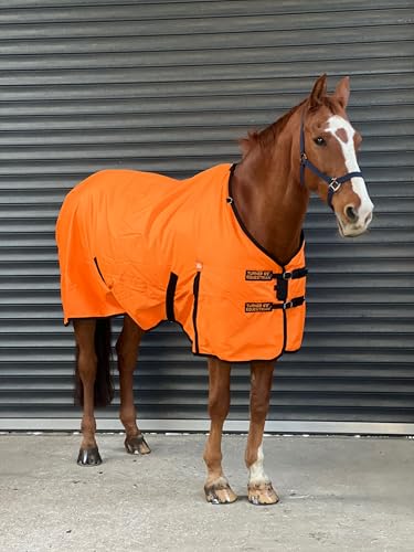 Image of Turner Equestrian 600d Lightweight Waterproof Horse Turnout Rug 100g Fill Standard Neck (5'6")