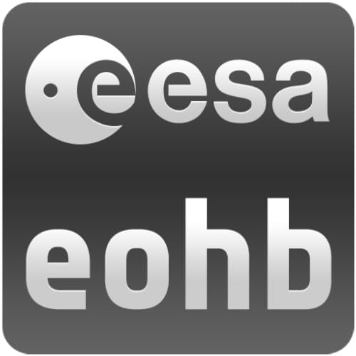 EO handbook - Disasters monitoring edition