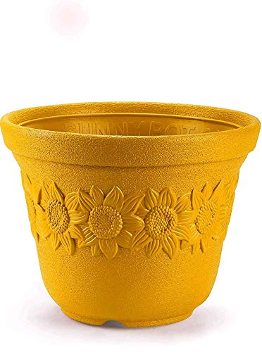 Gardens Need 100% Virgin Plastic Sunny Pot -14" | Set of 2 Planter, (28cm x 37cm x 28cm, Yellow) (B083RRH7PR) Amazon Price History, Amazon Price Tracker