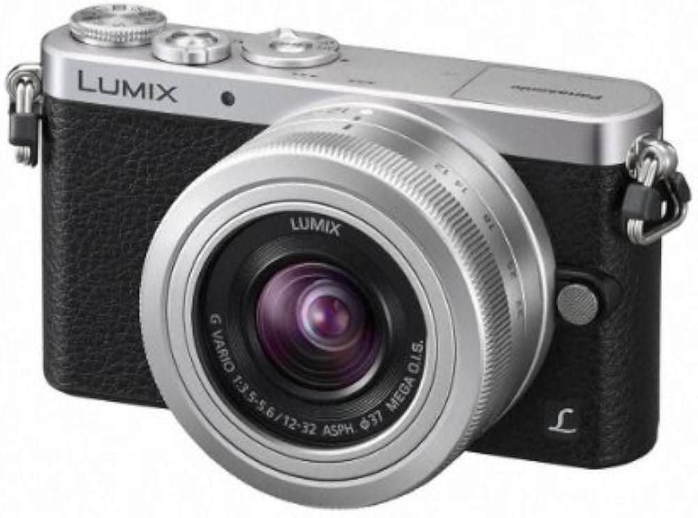 ゆ*離様 【ジャンク品】Panasonic Lumix GM DMC-GM1K Panasonic Lumix DMC−GM1 ジャンク