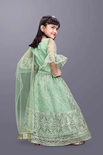 Image of Girl's Princess Lehenga Choli Set - Soft Net, Ribbon Embroidery With Duppata, Readymade