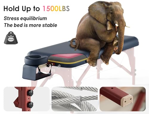 Image of CLORIS 84 inch Luxury Massage Table 2 Section Portable Hold Up to 1500LBS