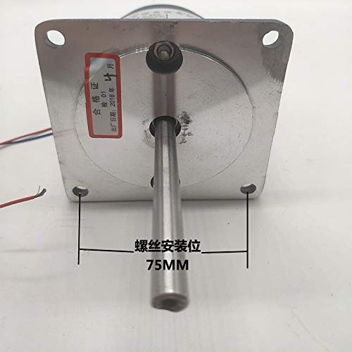 DC Motor Shrink Motor Circulating Hot Air Motor 50W 220VDC Permanent Magnet DC Motor Long Axis Zyt76-01