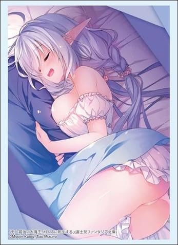 Sleeves Bushiroad Vol. 4529 Fuji Fantasia étuis de protection rigides Irina Ritz