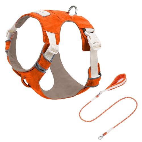 取り外し可能な犬のハーネスとリードセット調整可能な反射ベスト屋外ウォーキングのための快適なナイロンロープで取り外し可能なペットチェストハーネス