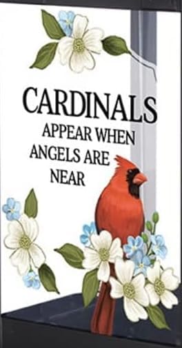 The Bridge Collection Cardinals Appear Bird Feeder - Memorial Window Bird Feeder with Glass Panes, Metal Basket Design for Indoor/Outdoor Use - A Sympathetic Gift to Remember Loved Ones - Image 2