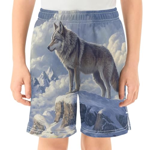 DOMIKING Wolf Snowy Mountain Peak Kids Shorts Pull-on Boys Shorts with Elastic Waist Casual Athletic Pants for Summer Outdoor2