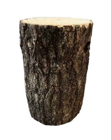 y؂ڂz Y 1{ MTCY  NK^ NkMERi JugV ɐBp ق