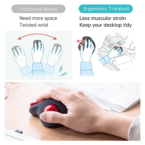 Sanwa 2.4G Wireless Ergonomic Trackball Mouse, Optical Rollerball Mice, Programmable Silent Buttons, 34Mm Trackball, 600/800/1200/1600 Adjustable Dpi, Compatible With Macbook, Laptop, Windows, Macos #TOP1