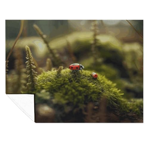 Couverture ultra douce coccinelle idée cadeau cocooning original - 7