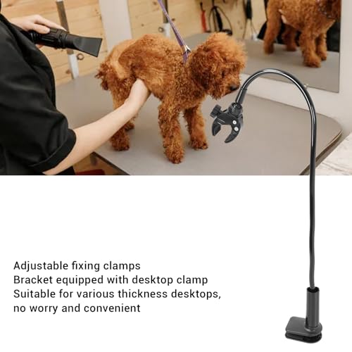 Suporte do Suporte do Secador de Cabelo da Tabela da Preparação do Animal de Estimação do Cão, Supor