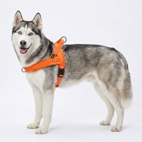 Didog Soft Flannel Padded Dog Vest Harness, No Pull/Quick Fit Reflective Dog Strap Harness, Easy for Training Walking (M:Chest 21-26", Orange) by Didog - Used condition - Image 7