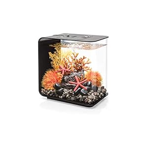 biOrb 72029 FLOW 15 leds, zwart, elegant designaquarium, complete set met filtersysteem, ledverlichting, grondgrind en…