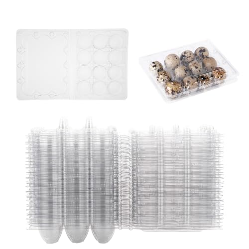 APACALI 60 scatole per uova di quaglia, 12 griglie, in plastica, con coperchio, scatole trasparenti per uova di quaglia