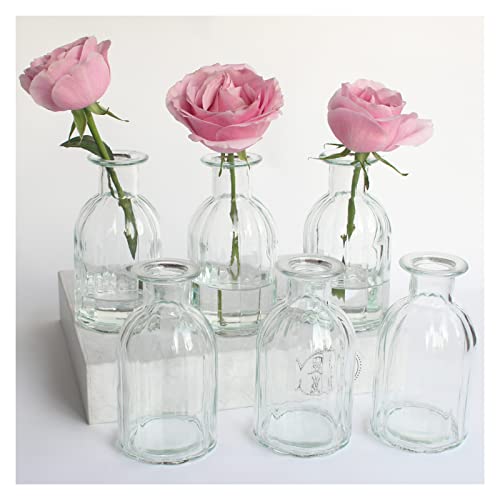 HANIHUA Bud Vases Set of 6 Small Glass Vase for