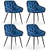 CLIPOP Esszimmerstühle 4er-Set Samtstuhl dick gepolstert gepolsterter Küchenstuhl Wohnzimmerstühle Badewanne Freizeitstuhl mit Armlehne und Metallbeinen (Blau, 2)