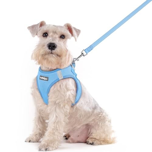 Image of rabbitgoo Dog Harness Medium Sized and Leash Set, Step-in Puppy Pet Vest